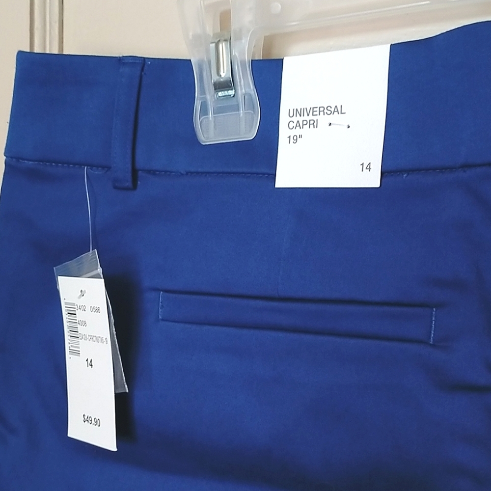 BNWT Ricki's Blue Capri Pants Size 14 - Picture 3 of 5